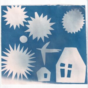 Apprendre les bases du cyanotype avec Vive la Vie, photographe