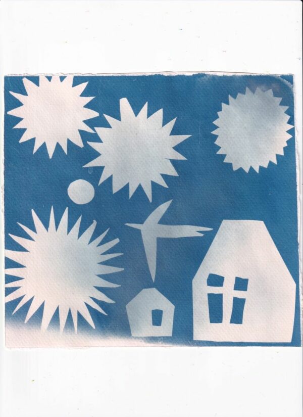 Apprendre les bases du cyanotype avec Vive la Vie, photographe – Image 2